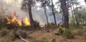 Çanakkale'de Yıldırım Düşmesi Sonucu Orman Yangını Çıktı