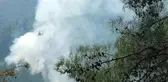 Adana Kozan'da Orman Yangını Kontrol Altına Alındı