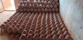 Karacasu'da Zeytinyağı Fabrikası Tartışması