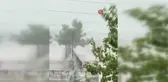 Samsat'ta çıkan fırtına ağaçları devirip çatıları uçurdu