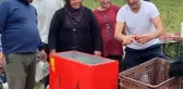 Ünlü Oyuncu Ersin Korkut, Bitlis'te Tarım İşçileriyle Domates Topladı