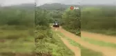 Şile'de Yağışlar Sonucu Mahsur Kalanlar Kurtarıldı