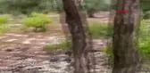 KİLİS'TE, DOLU YAĞIŞI ETKİLİ OLDU