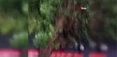 Sri Lanka'da şiddetli yağışların neden olduğu selde 6 kişi hayatını kaybetti