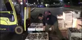 Beylikdüzü Gürpınar Su Ürünleri Hali'nde Denetimler Yapıldı