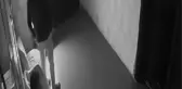 GECE KULÜBÜNÜN GÜVENLİK KULÜBESİNE 'HATIR' KURŞUNU