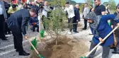 Patlamada şehit olan 43 madenci hatıra ormanında yaşatılacak