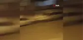 Ankara'nın Polatlı ilçesinde sokak ortasında kavga çıktı