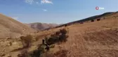 Bin derde deva kuşburnunun zor mesaisi