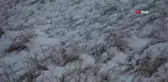 Ardahan'ın yüksek kesimlerinde kar yağışı ve sis etkili oldu