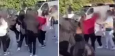 Liseli kızlar sevgili kavgasına tutuştu! Ne saç bıraktılar ne baş