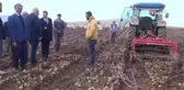 Ahlat'ta Patates Hasadı Başladı