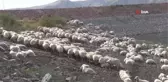 Yaylalardan zorlu dönüşler sürüyor