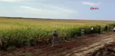 Şanlıurfa'da Ticaret ve Sanayi Odası temsilcisinin cinayet şüphelisi yakalandı