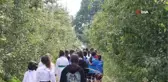 Bursa'da armut hasadına katılan kız sporcular: 