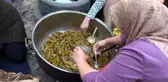 Iğdır'da Patlıcan Reçeli Yapımı Başladı