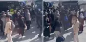 Yolcuların 