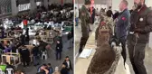 Festivalde cins tavuklar 15 bin liraya, güvercinler ise 150 bin liraya kadar alıcı buldu