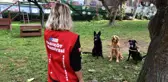 Kadıköy Belediyesi'nin yeni arama kurtarma köpeği Coco sertifikasını aldı
