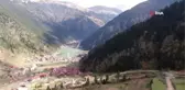 Uzungöl'ü bekleyen sinsi tehlike