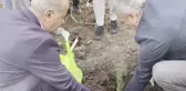 CHP Bursa İl Başkanlığı Göynüklü'de fidan dikti