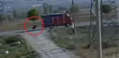 Sivas'ta kamyonetin çarptığı yaşlı kadın hayatını kaybetti