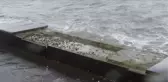 Silivri'de Sağanak Yağış ve Fırtına Zor Anlar Yaşattı