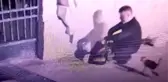 Fatih'te Kedileri Çantasına Koyan Şahıs Güvenlik Kamerasına Yansıdı