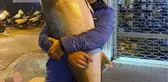 Amatör balıkçı 41 kiloluk akya balığı yakaladı