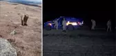 Ardahan'da çobanın fotoğrafı ortalığı karıştırdı! Jandarma ekipleri didik didik fil aradı