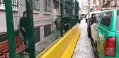 Yavru kediyi çantasına koyarken yakalanmıştı, evinden çok sayıda ölü kedi çıktı