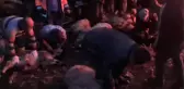 Yangından kurtulan koyunlar sahibinden kurtulamadı