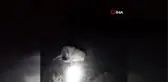 Kangal Köpeği Rahatsızlanan Koyunun Başından Ayrılmadı