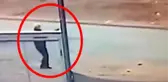 Sokak köpeğini tüfekle vurarak öldüren cani adam, kamera görüntüleri sonrası gözaltına alındı