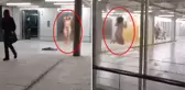 Uyuşturucunun etkisiyle çırılçıplak soyunan kadın, havalimanını birbirine kattı