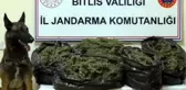 Bitlis'te 10 Kilo Skunk Ele Geçirildi