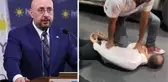 İYİ Partili Poyraz: Ayhan Bora Kaplan operasyonuna neden 'İntikam' ismi verildi?