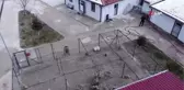 Bilecik Belediye Başkanı Subaşı'ndan köpek katliamıyla ilgili açıklama