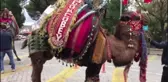 Develer Gövde Gösterisi Yaptı