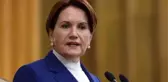 Fatih Akşener kimdir? Meral Akşener'in oğlu Fatih Akşener kimdir mesleği ne?
