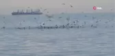 Kafkametler Gemisi'ndeki kayıp 9 mürettebatı arama çalışmaları sürüyor