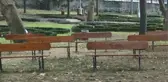 Atatürk'ün Gülhane Parkı'ndaki Banklar Yeniden Yerleştirildi