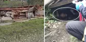 Sinop'ta kuvvetli fırtına tahıl ambarını devirdi: 1 ölü