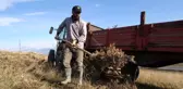Bitlis'te Vatandaşlar Geven Bitkisi Topluyor