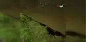 Sürüklenen su samurları Gönen Çayı'na koştu