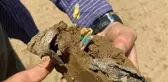 Tarım arazilerinde 'mikroplastik' tehlikesi