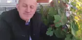 Giresun'da Aralık Ayında Asma Dalında Üzüm Şaşkınlığı