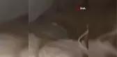 Mehmetçik, teröristlerin mağarasında çok sayıda malzeme ele geçirdi