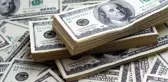 Citibank'tan korkutan dolar tahmini! 