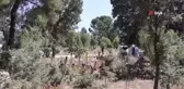 Denizli'de Osmanlı dönemine ait mezar taşları inceleniyor